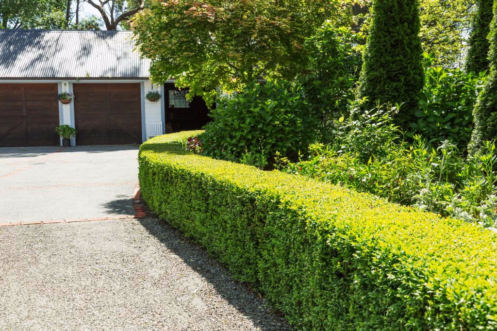 Garage Driveway